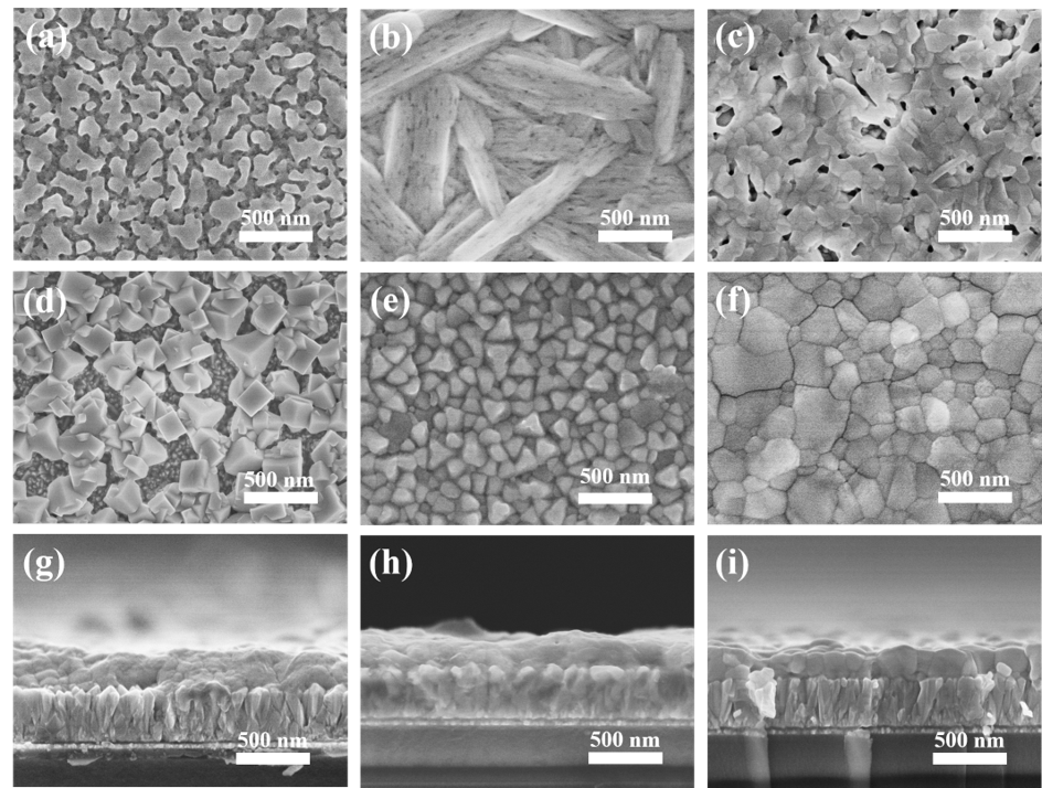 SEM images of films used in the development of perovskite photovoltaic cells (Photo courtesy of Giovanni DeLuca)